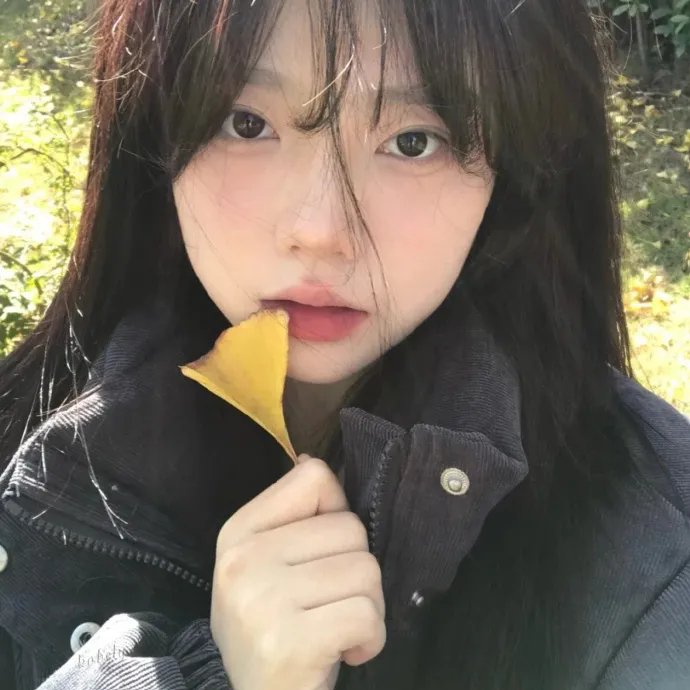胡歌